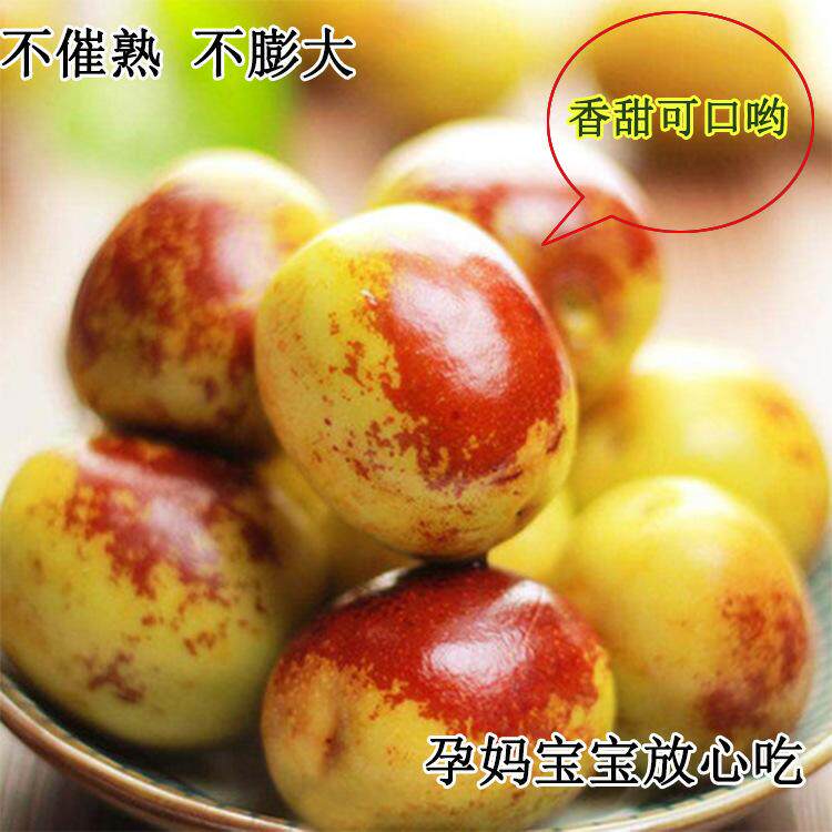 大荔智愚鲜果种植基地