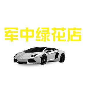 军中绿花轮胎店