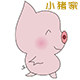小猪家护肤养颜馆