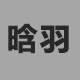 晗羽电气 店铺LOGO