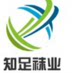 sky海枫袜业 店铺LOGO