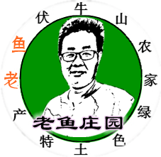 伏牛山老鱼农家铺