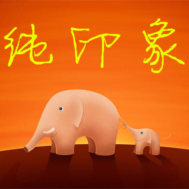 纯印象玩具