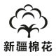 新疆棉棉哒品牌棉花被