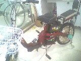 邯郸国风电动车配件 国风车饰