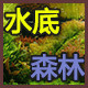 水底森林