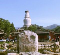 五台山网上特产店