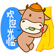 娟姐杂粮铺子