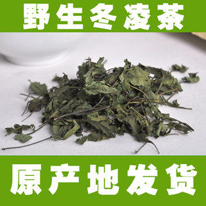 哈哈嘻嘻来了