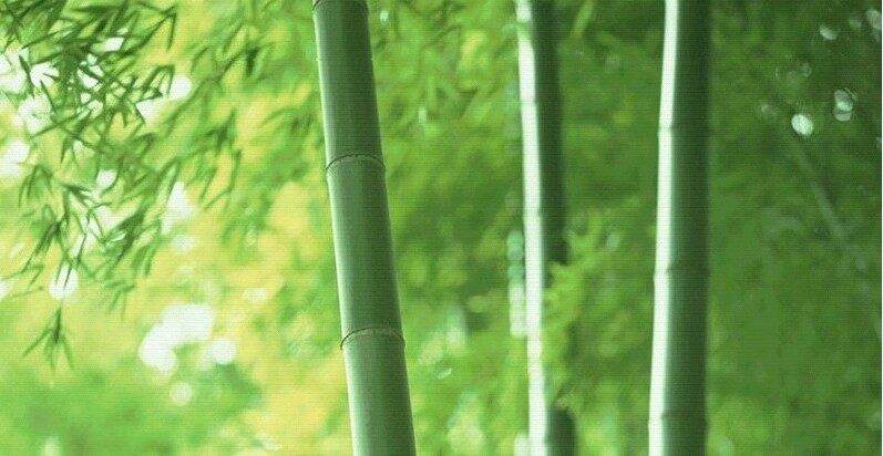 瑞福居