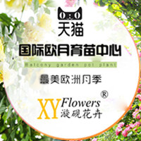 漩砚花卉旗舰店