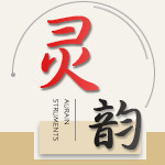 灵韵乐器专营
