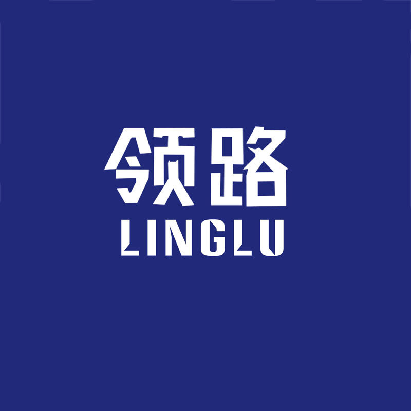领路旗舰店