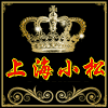 上海沪松 店铺LOGO