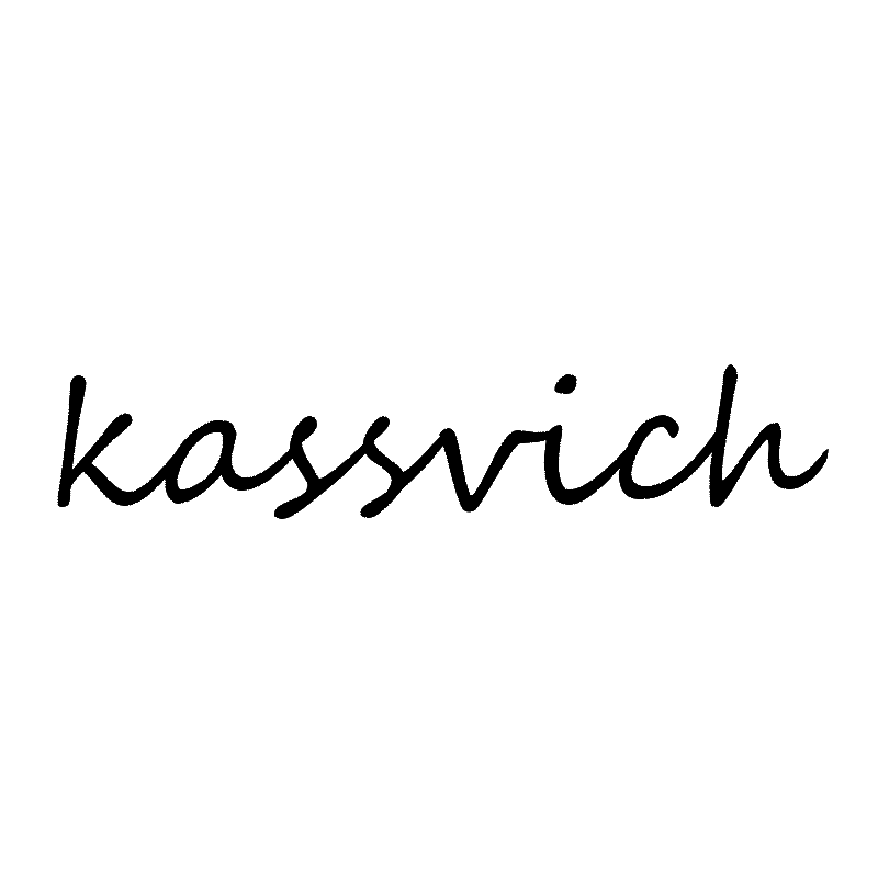 kassvich数码旗舰店