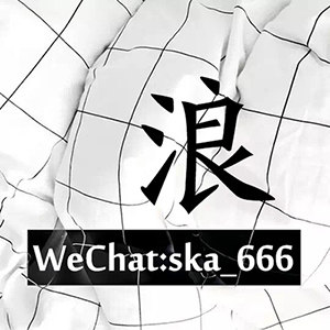 Ska666浪起来 店铺LOGO