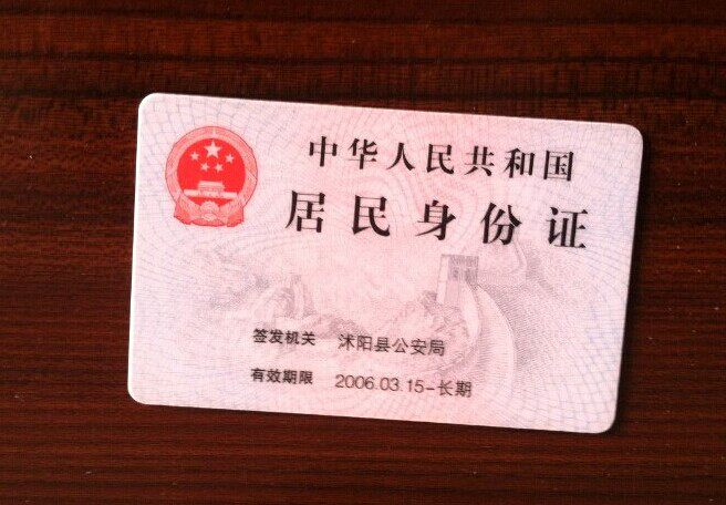 樱花满院