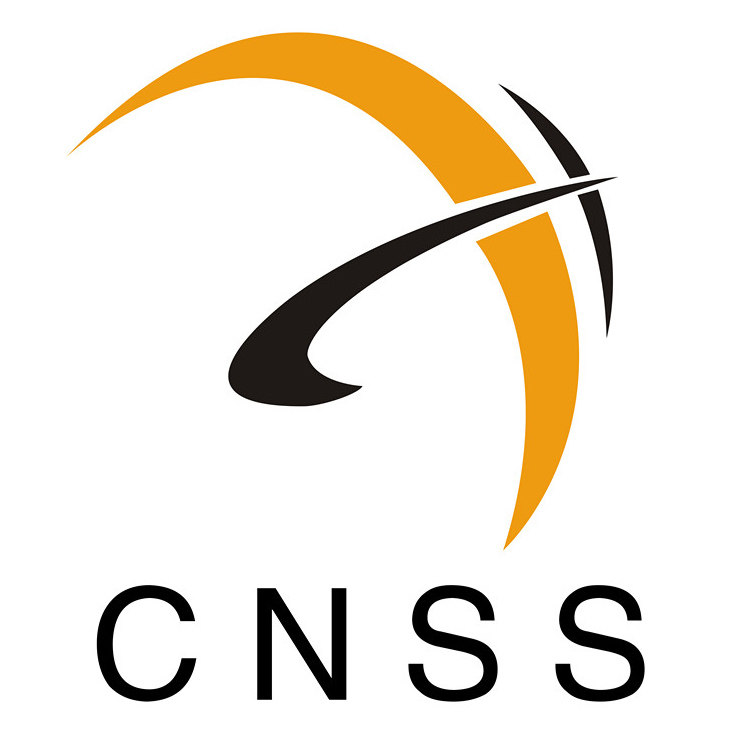 cnss旗舰店 店铺LOGO