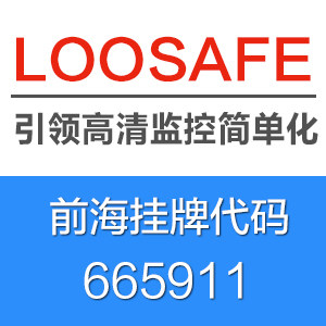 龙视安旗舰店