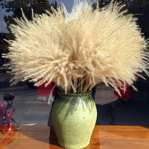 米粒小屋 干花铺