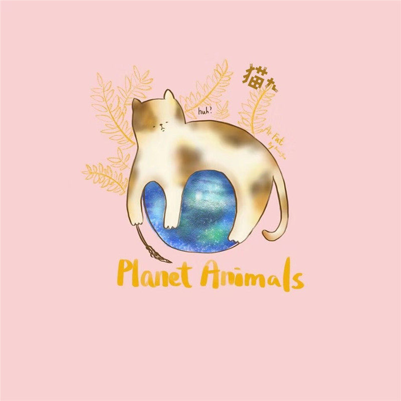 猫九的羊毛毡