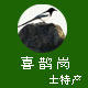 喜鹊岗土特产