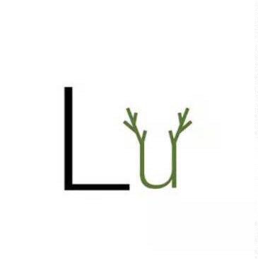 DALULU代购店 店铺LOGO