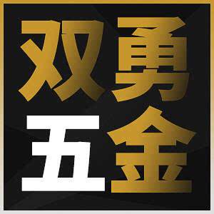 双勇五金机电 店铺LOGO