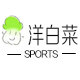 洋白菜工厂店