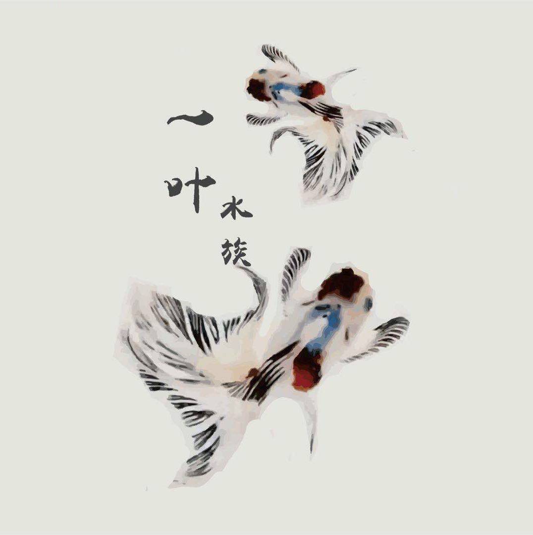 一叶水族