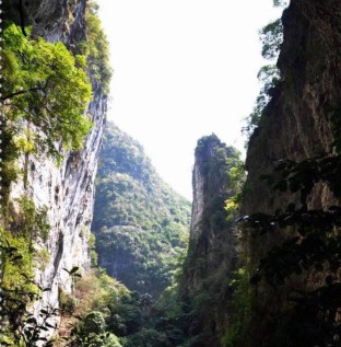 山野驿站