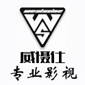 wesis威慑仕影视器材 店铺LOGO