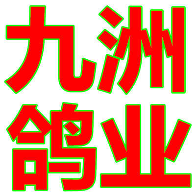 九洲鸽业批发 店铺LOGO