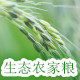 东北五常大米粗粮店
