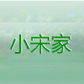冰冷竖琴