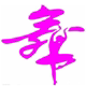 舞之韵舞蹈服工厂店 店铺LOGO