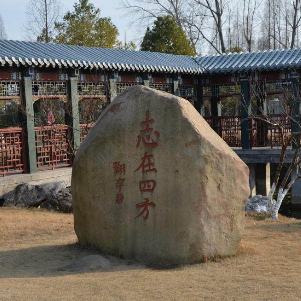 精诚电子8