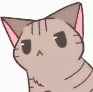 猫殿下的小窝