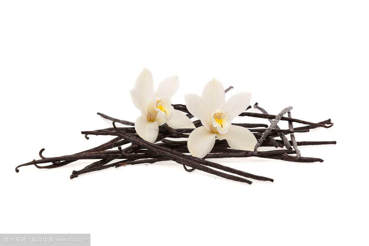 Vanilla Groceries揾尼拿进口杂货店