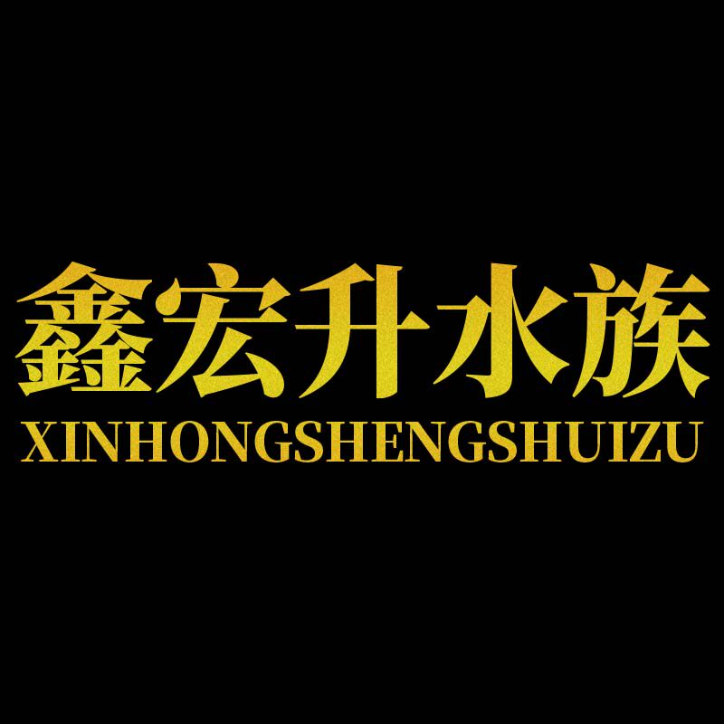 鑫宏升水族超市