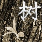 老树杂物店 店铺LOGO