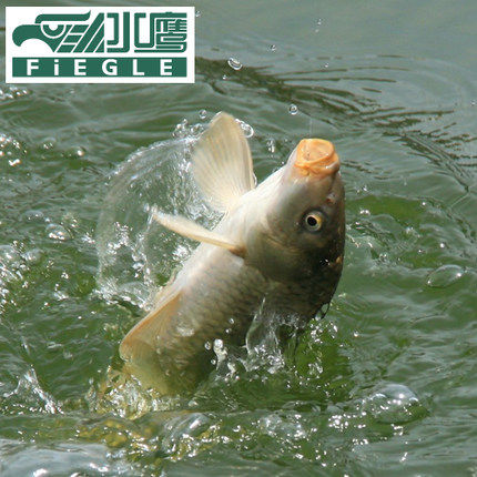 淘迪乐玩具