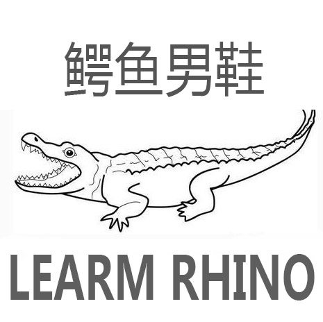 鳄鱼高端男鞋