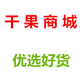 西域干果商城 店铺LOGO