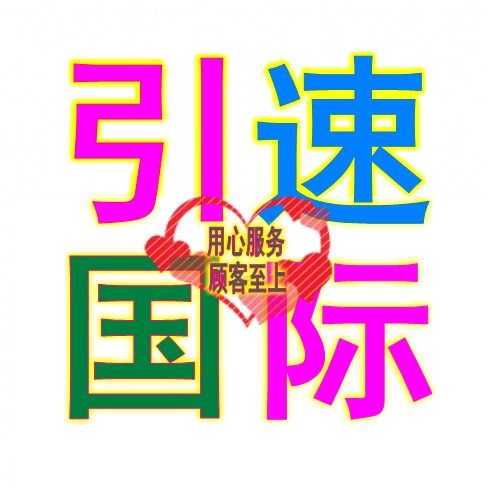 引速国际 店铺LOGO