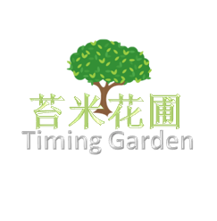 上海苔米花园
