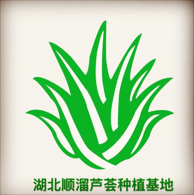 华中芦荟壹号店