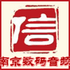 南京数码音频