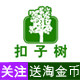 扣子树