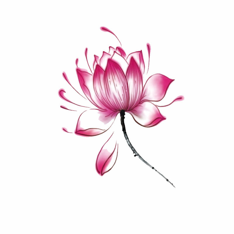 皇马美妆